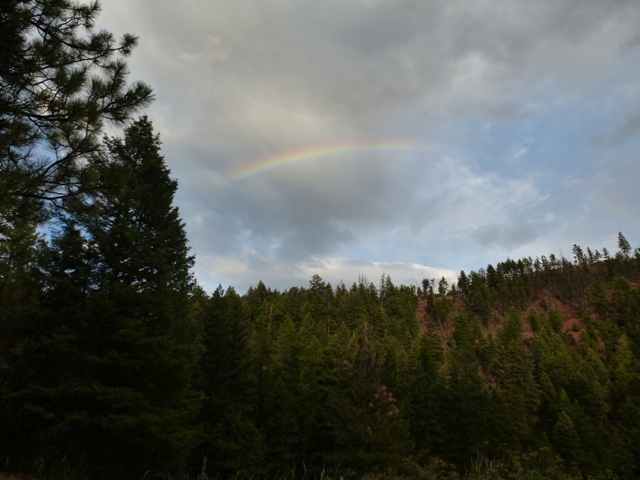 Regenbogen.JPG