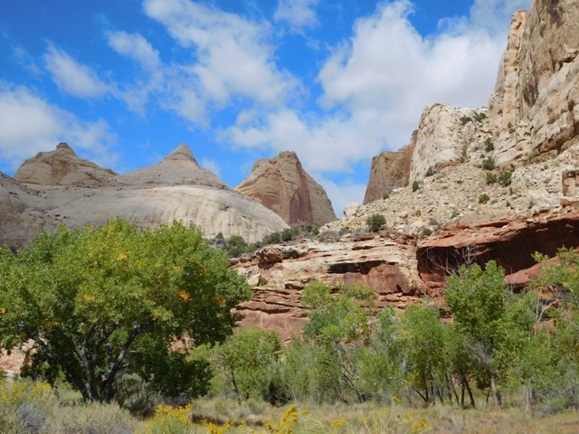 Capitol Reef NP.JPG