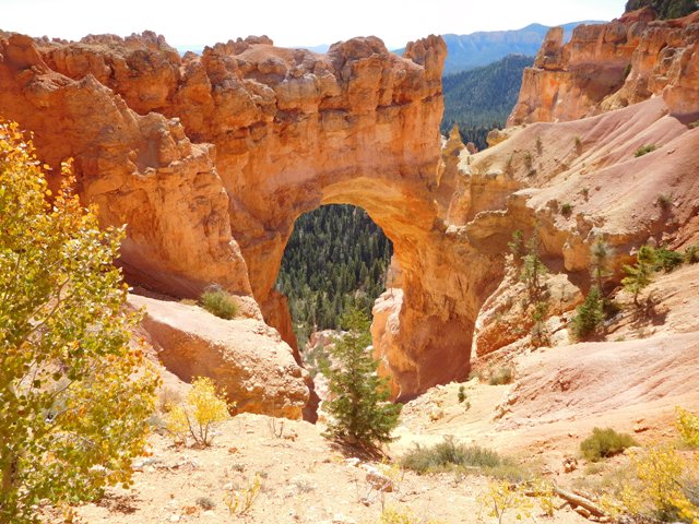 Bryse Canyon.JPG