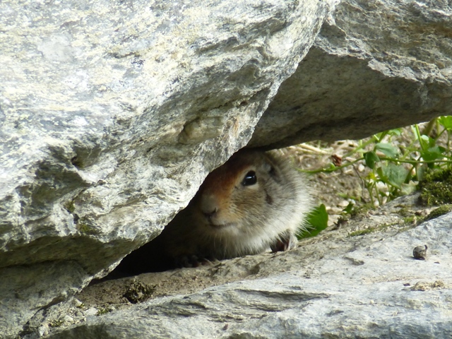 lieber verstecken.JPG